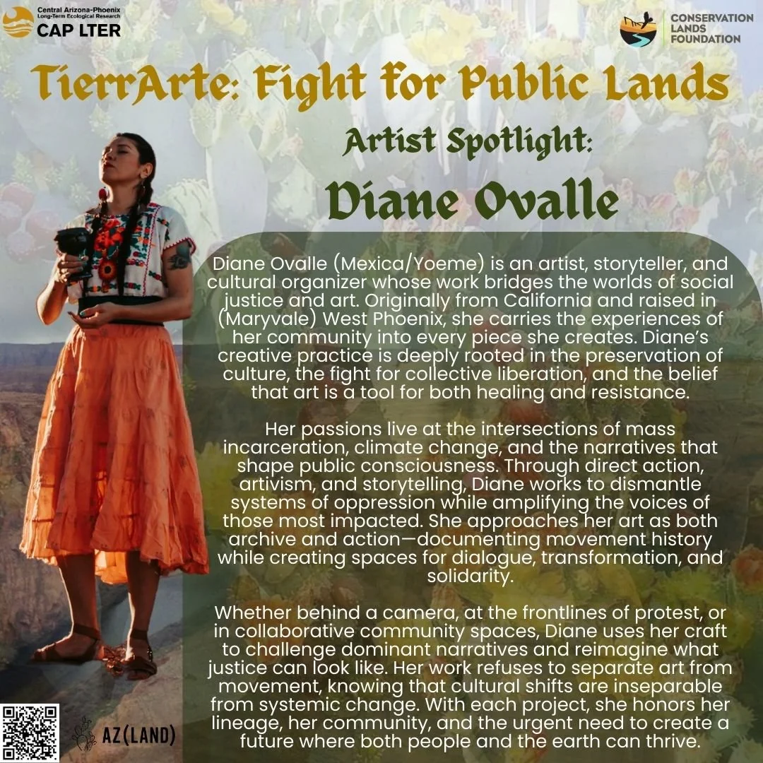 TierrArte Spring Equinox Gathering