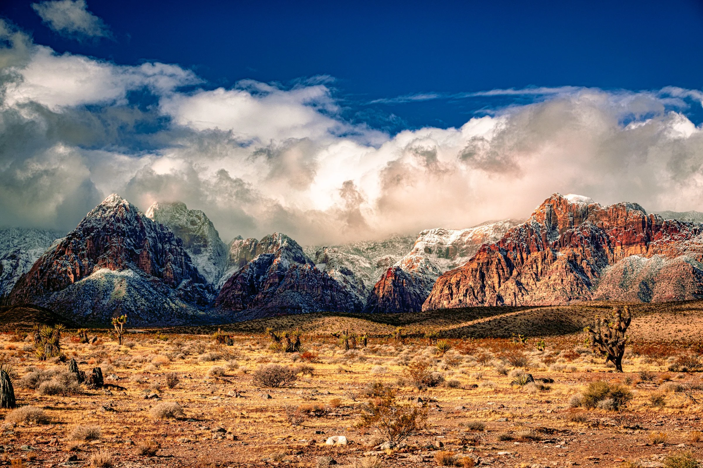 Las_Vegas-Portrait-Photographer-Red_Rocks-0553.jpg