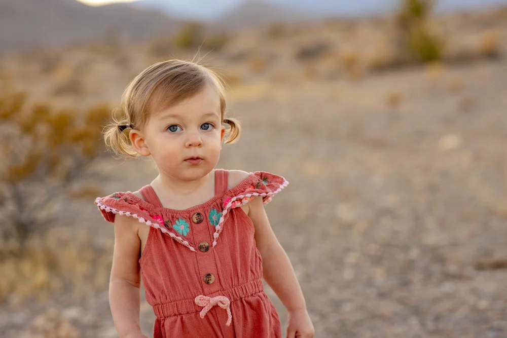 Toddler girl with pigtails in a coral dress standing on a desert dirt path near Las Vegas