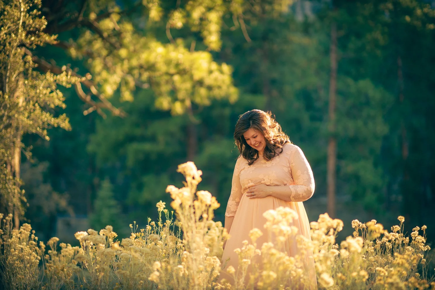 Las Vegas maternity photographer, backlit portrait among the pines at Mount Charleston