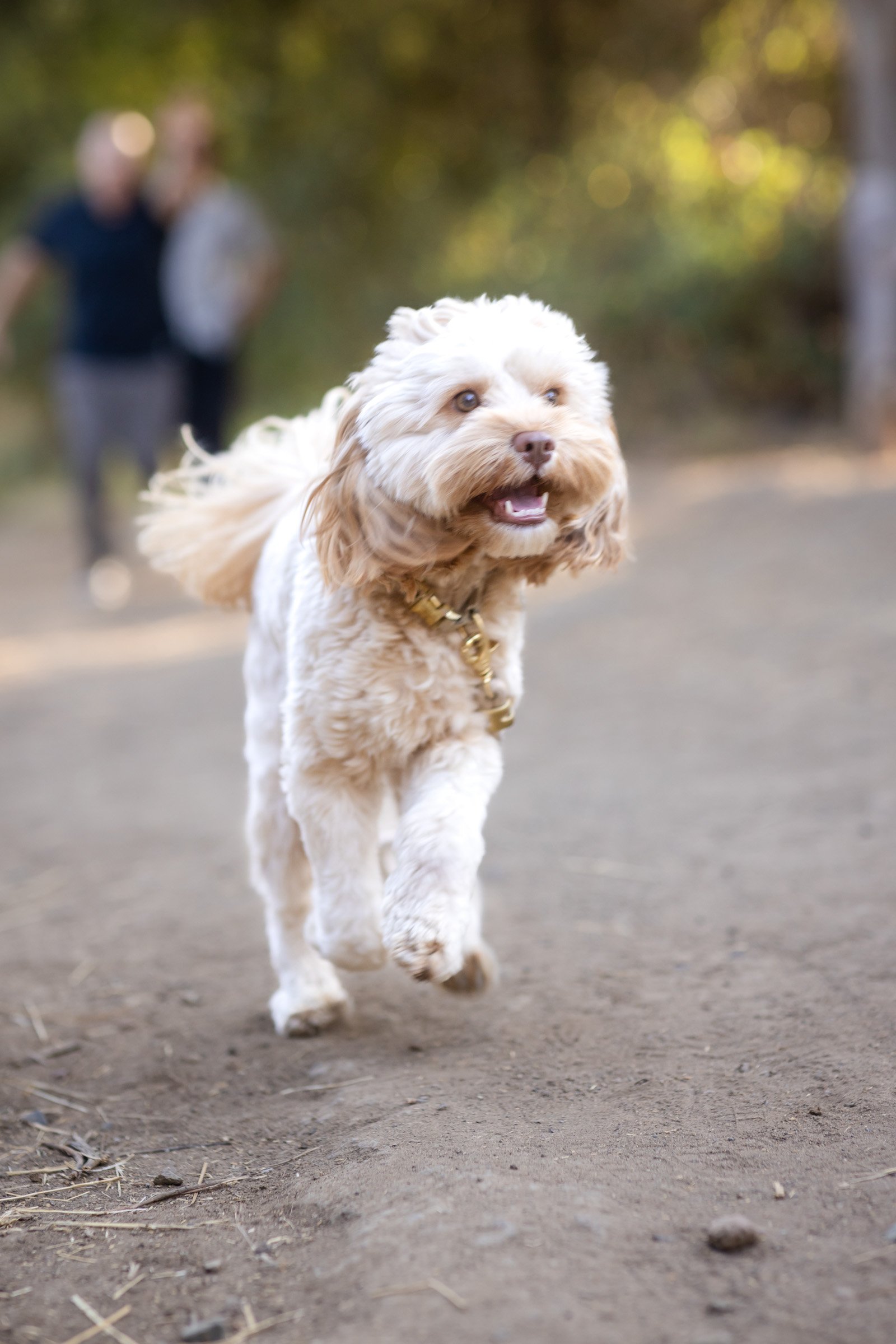 San_Diego-Family-Photographer-Los_Penasquitos-0416.jpg