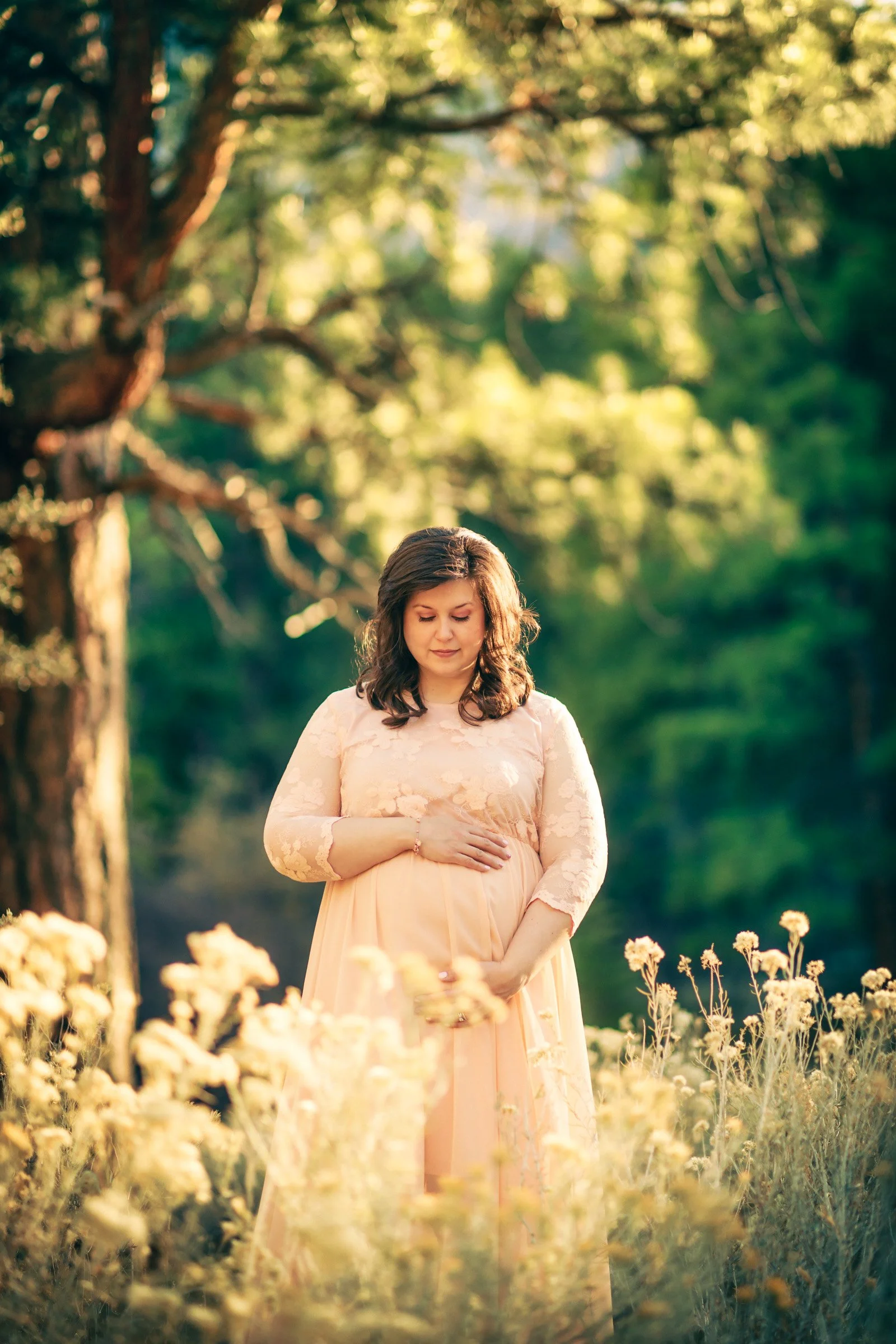 Las_Vegas-Maternity-Photographer-Mount_Charleston-0535.jpg