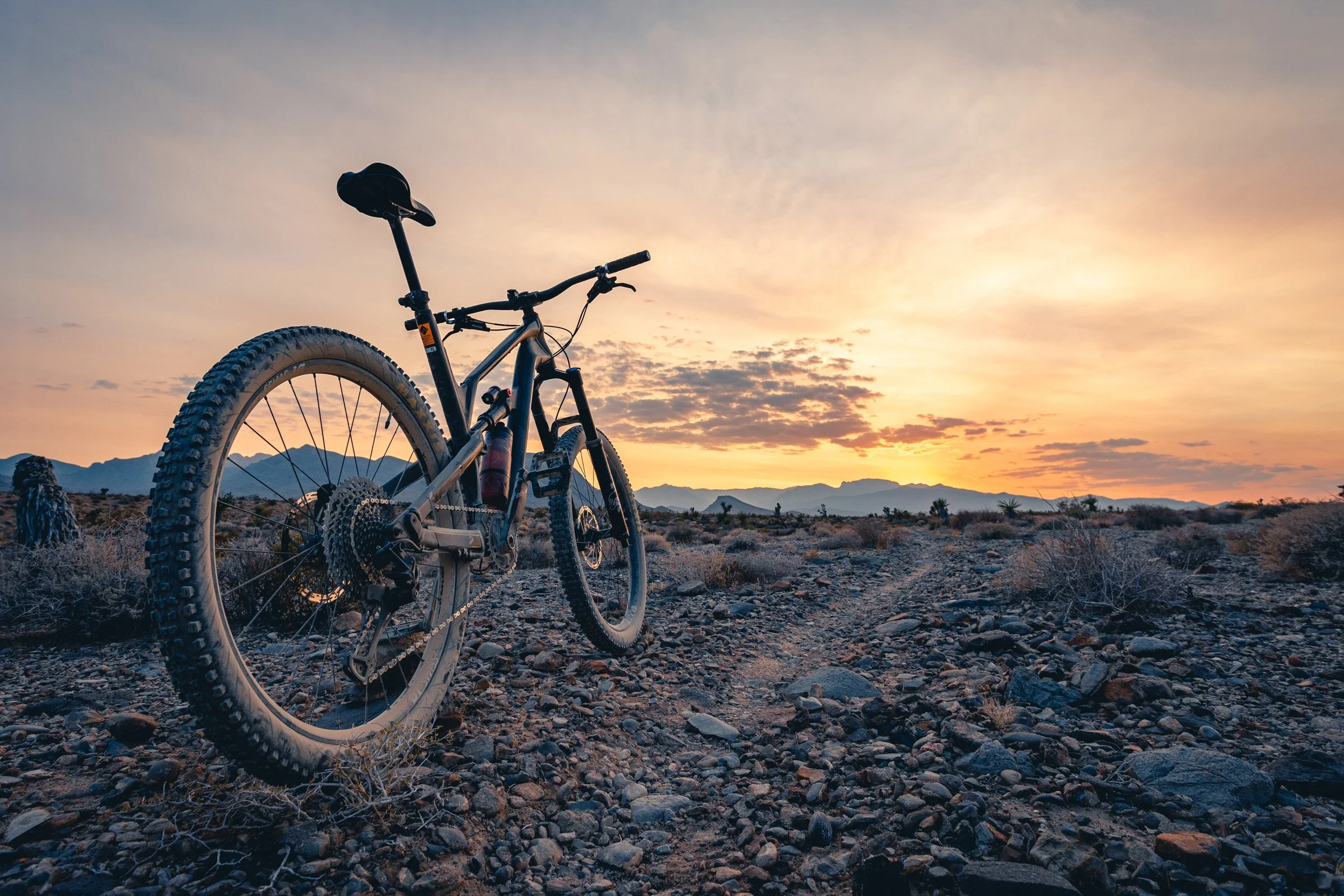 Las_Vegas-Branding-Photographer-Kyle_Canyon-0545.jpg