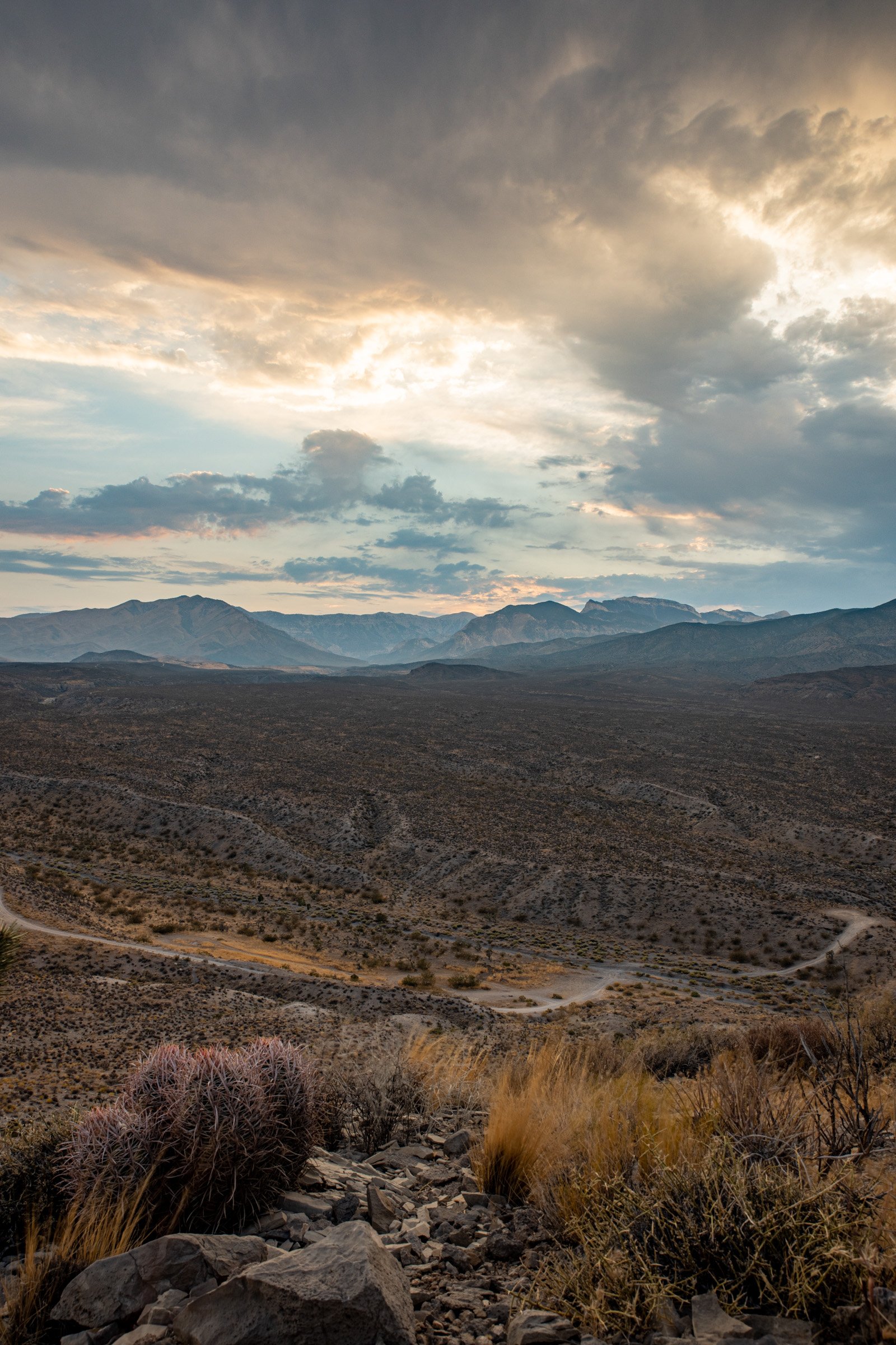 Las_Vegas-Portrait-Photographer-Kyle_Canyon-0546.jpg