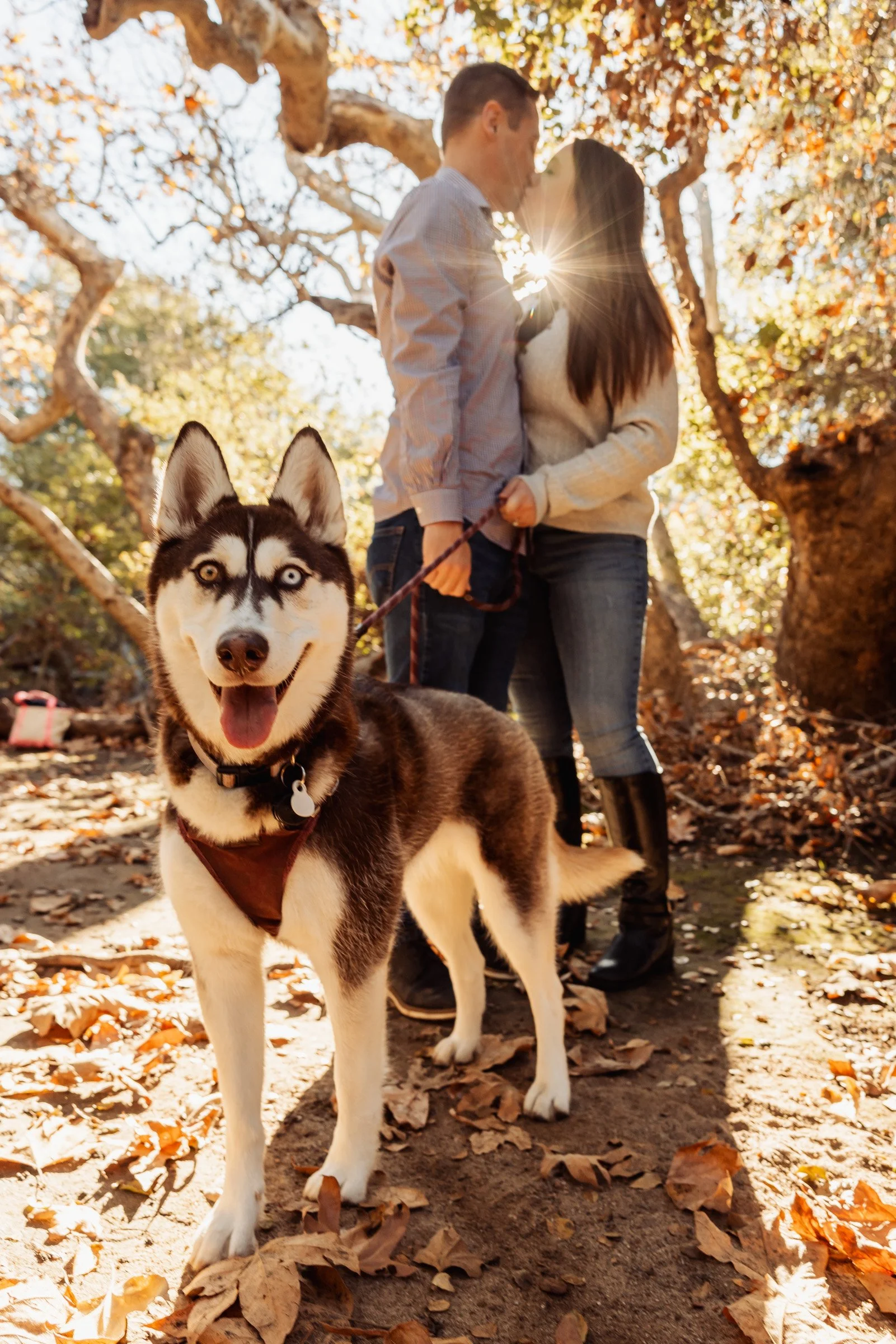 San_Diego-Couples-Photographer-Los_Penasquitos-0016.jpg