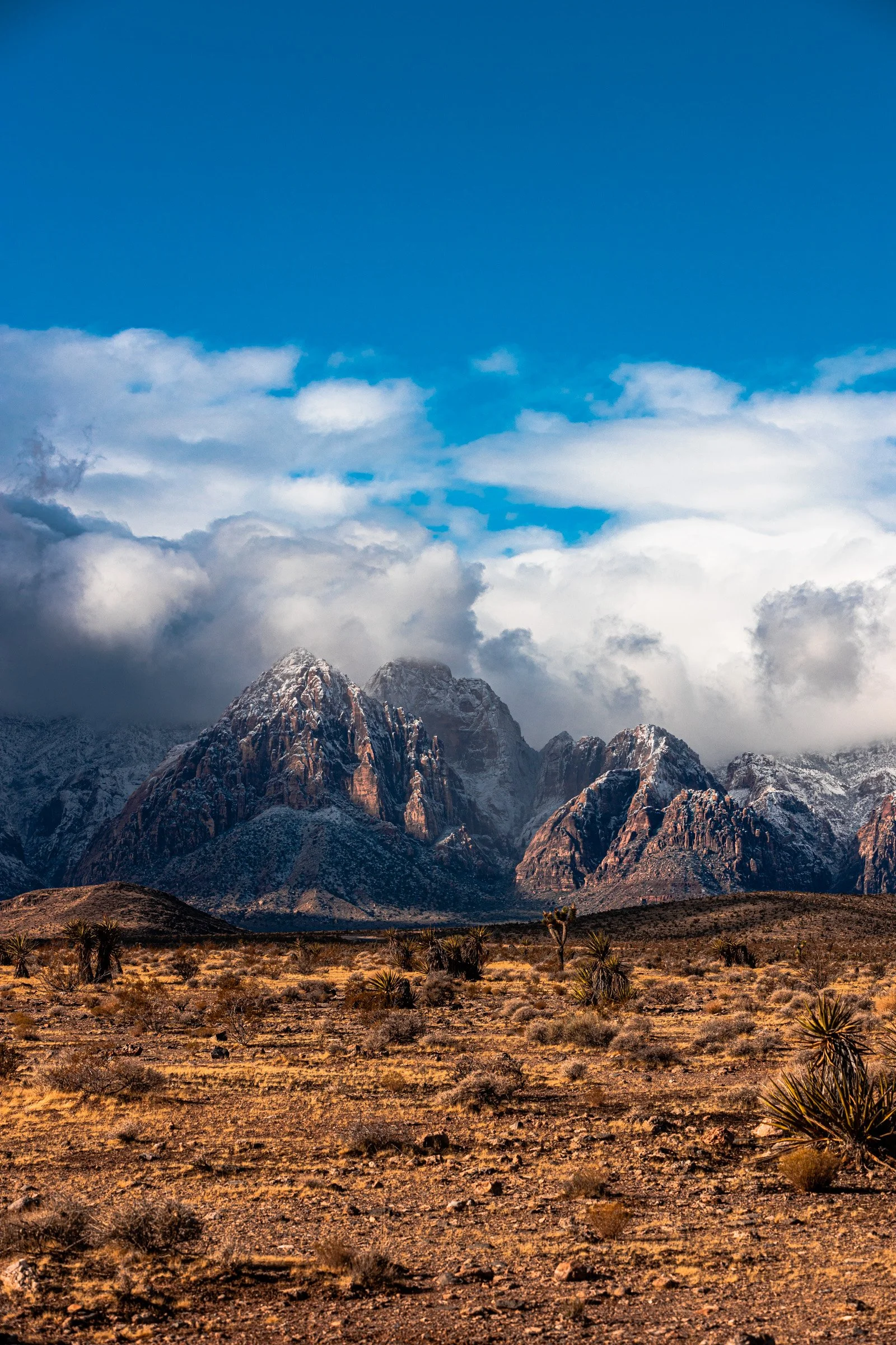 Las_Vegas-Portrait-Photographer-Red_Rocks-0552.jpg