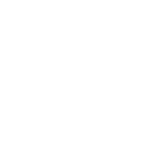 zack-mcdowell_clients_wild-adventures.png
