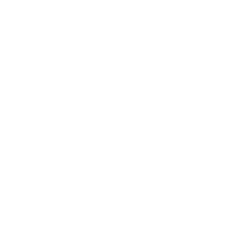 zack-mcdowell_clients_Carnival.png