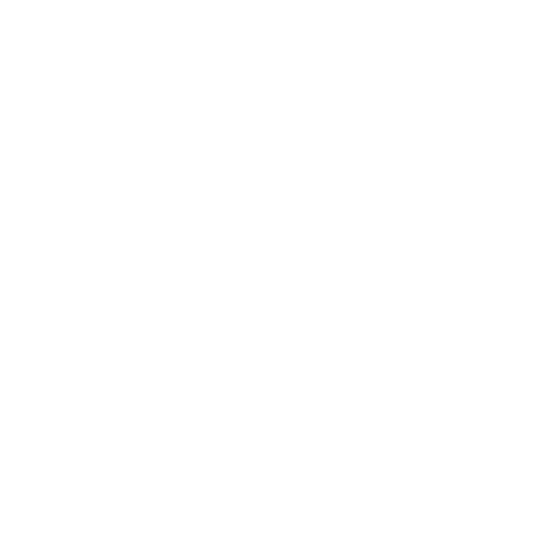 zack-mcdowell_clients_disney-on-ice.png