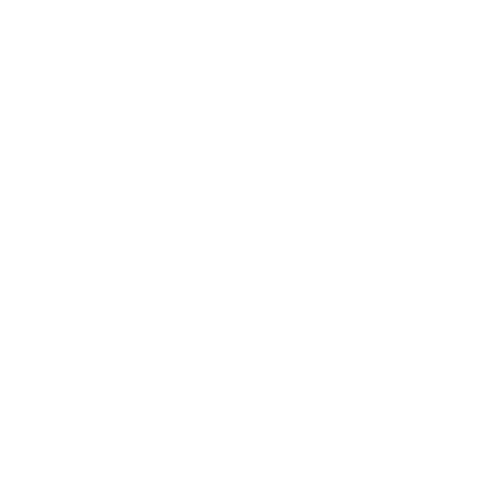 zack-mcdowell_clients_dirty-dancing-musical.png