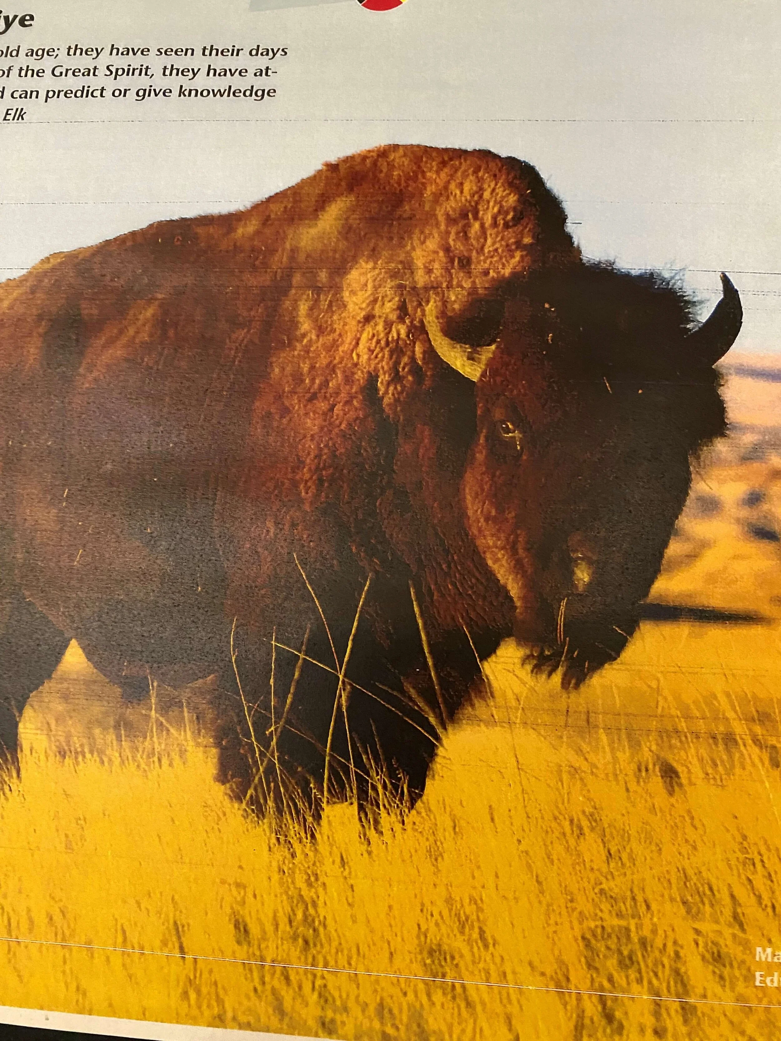 Wahpeton Dakota Nation