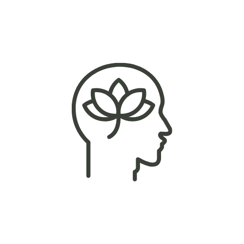 Minimalist Templates
