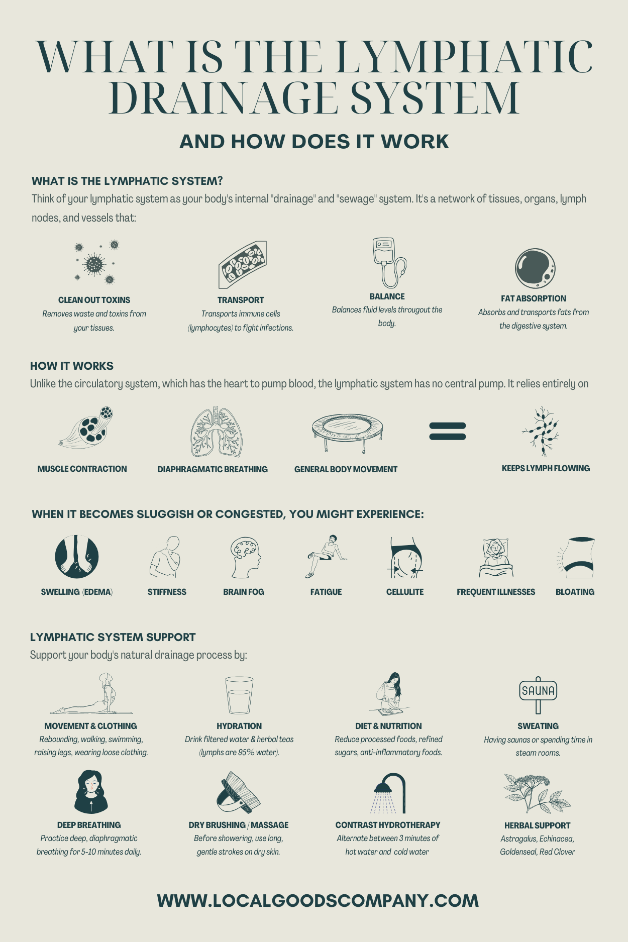 What is the lymphatic drainage system?