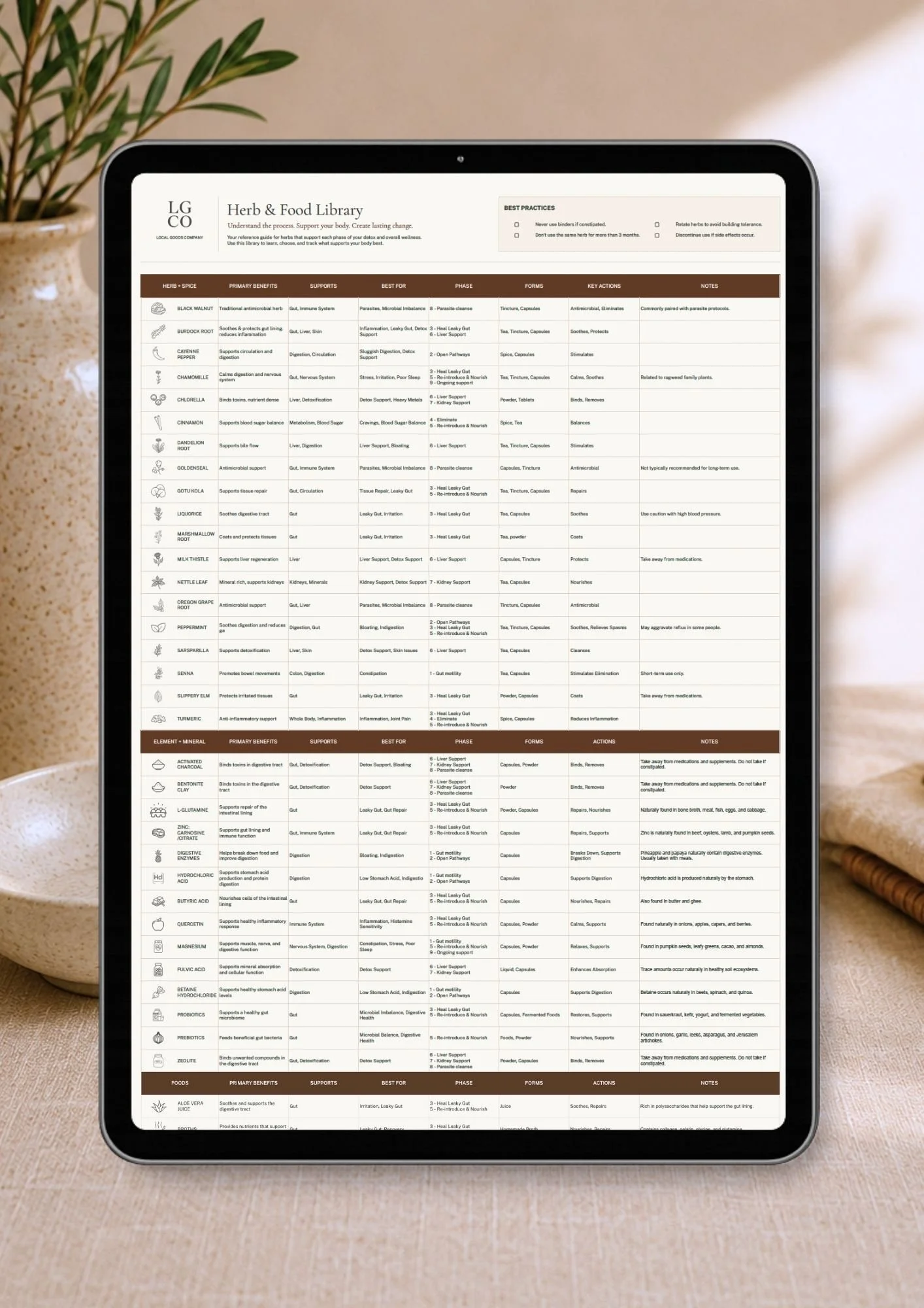 Detox Planner Herb & Food Glossary.jpg