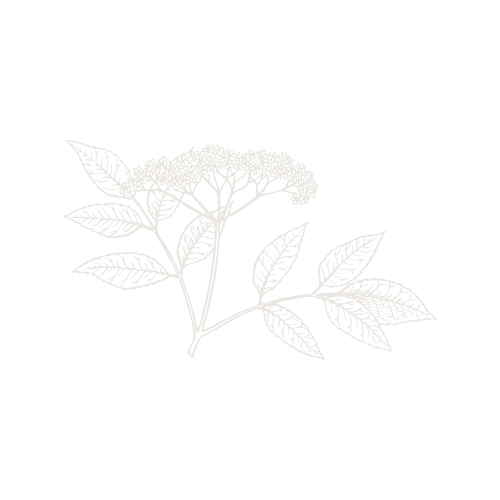 How We Organise Our Meal Planning