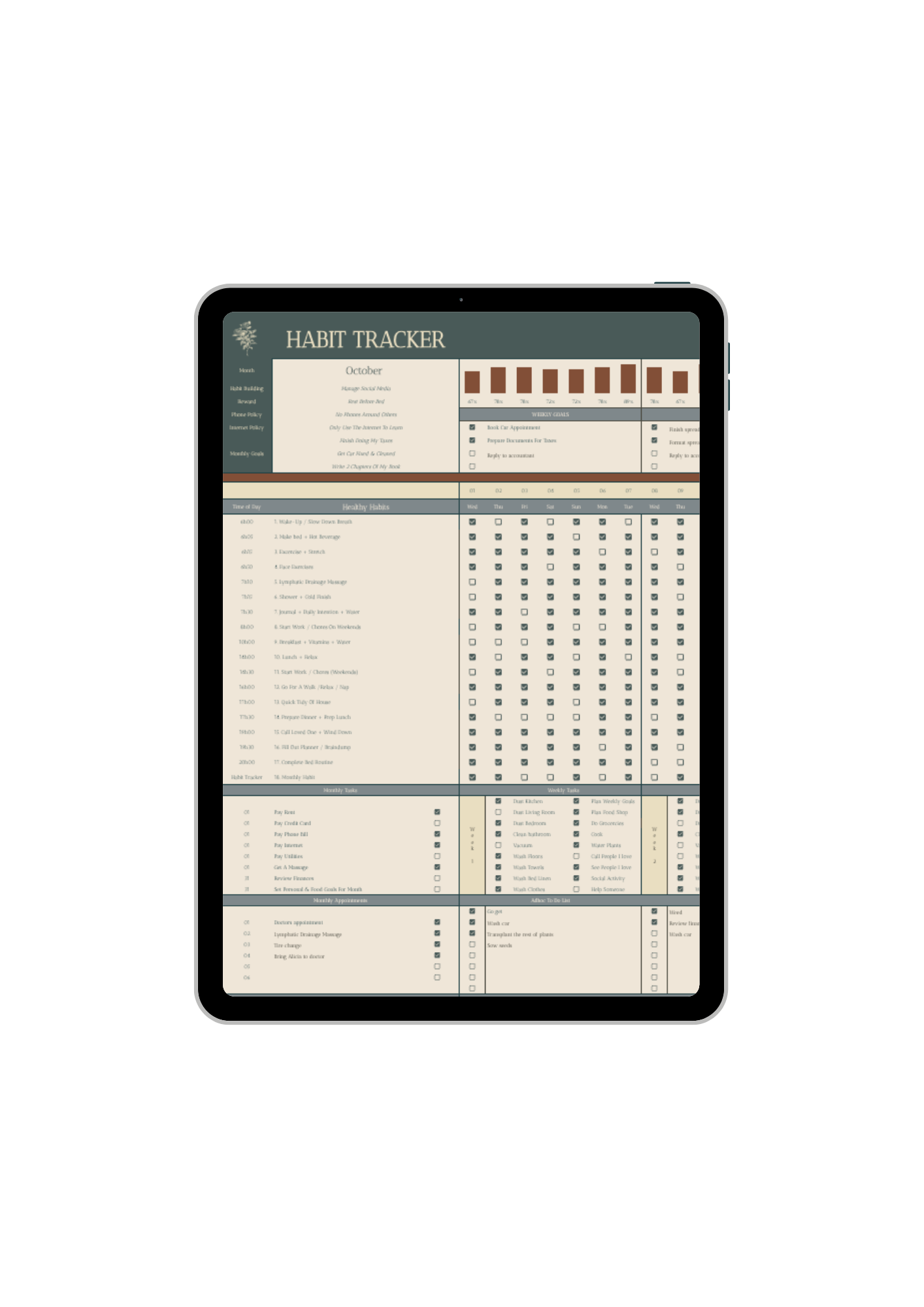 iPad showing an example of the Google Sheet tab for the Habit Tracker