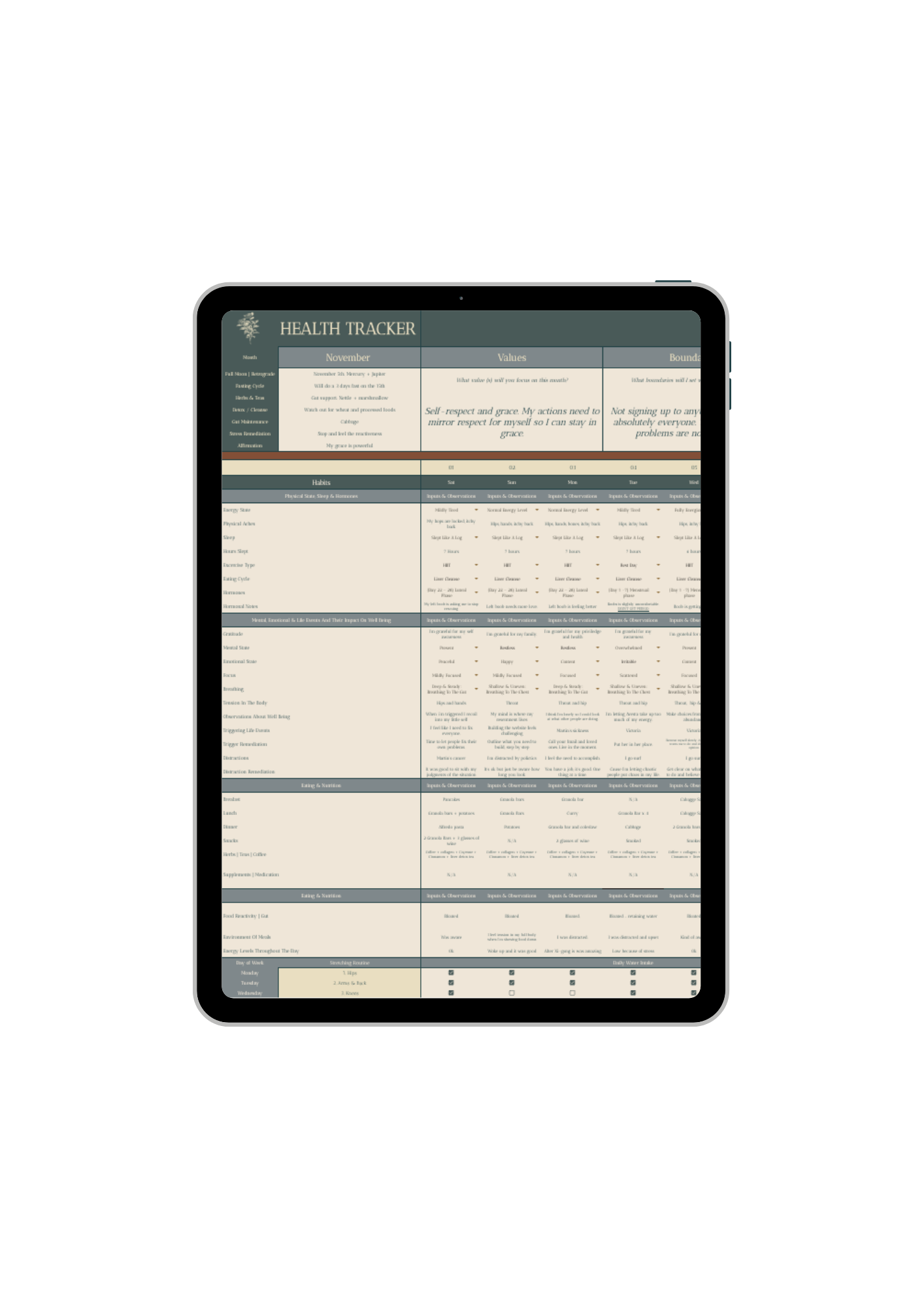 iPad showing the symptom and health tracker Google Sheet tab
