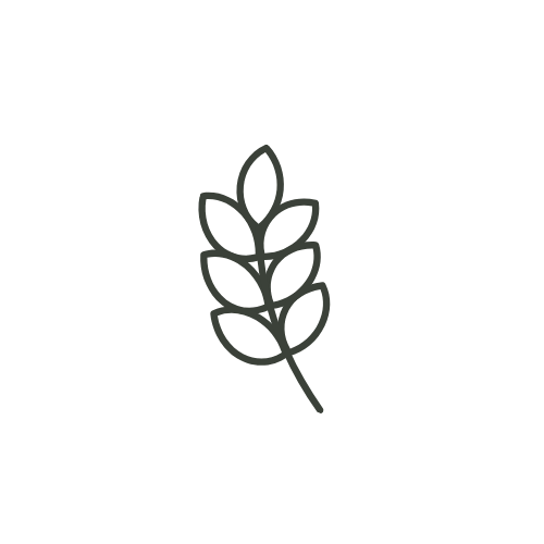 Systems for families