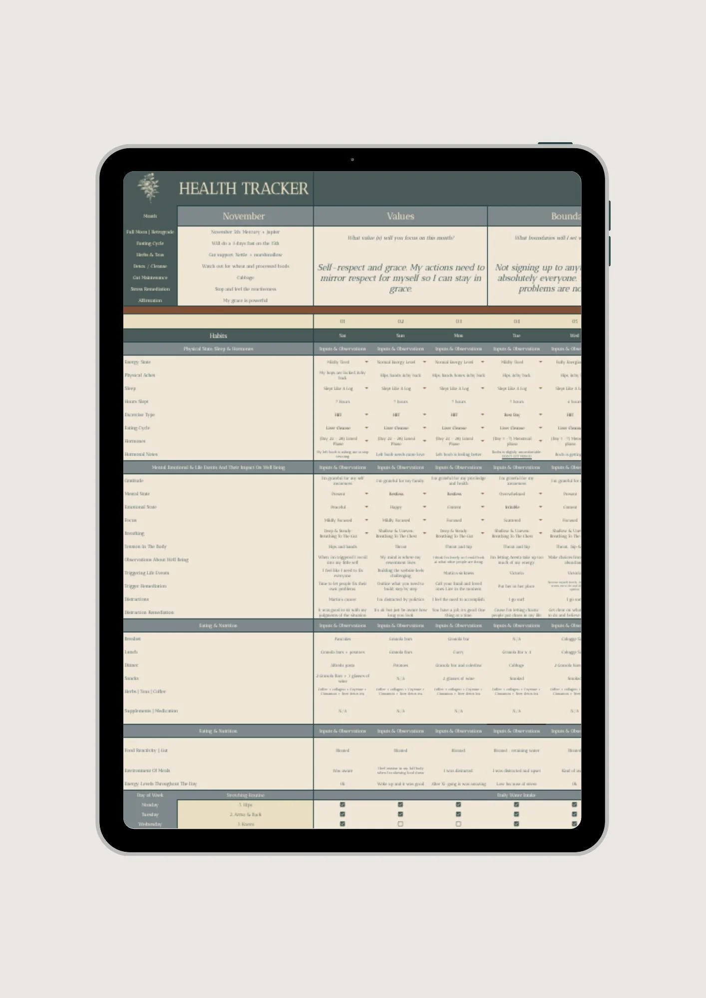 iPad showing symptom tracker and health journal google sheet