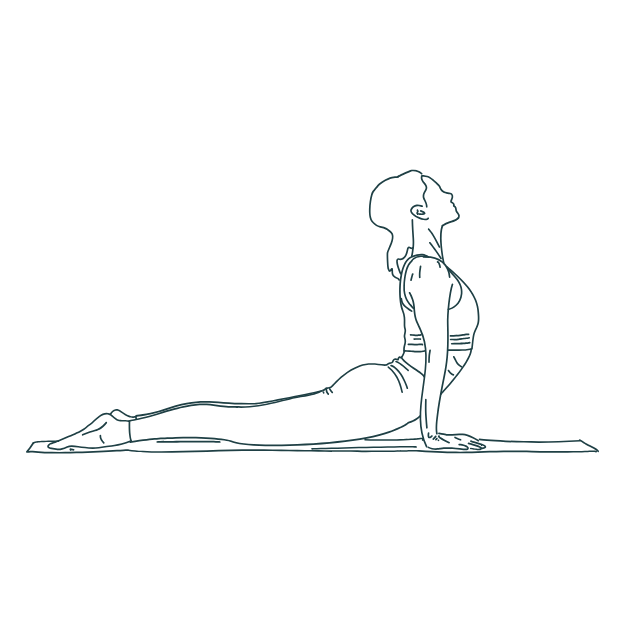 Split your bulk purchases with your friends