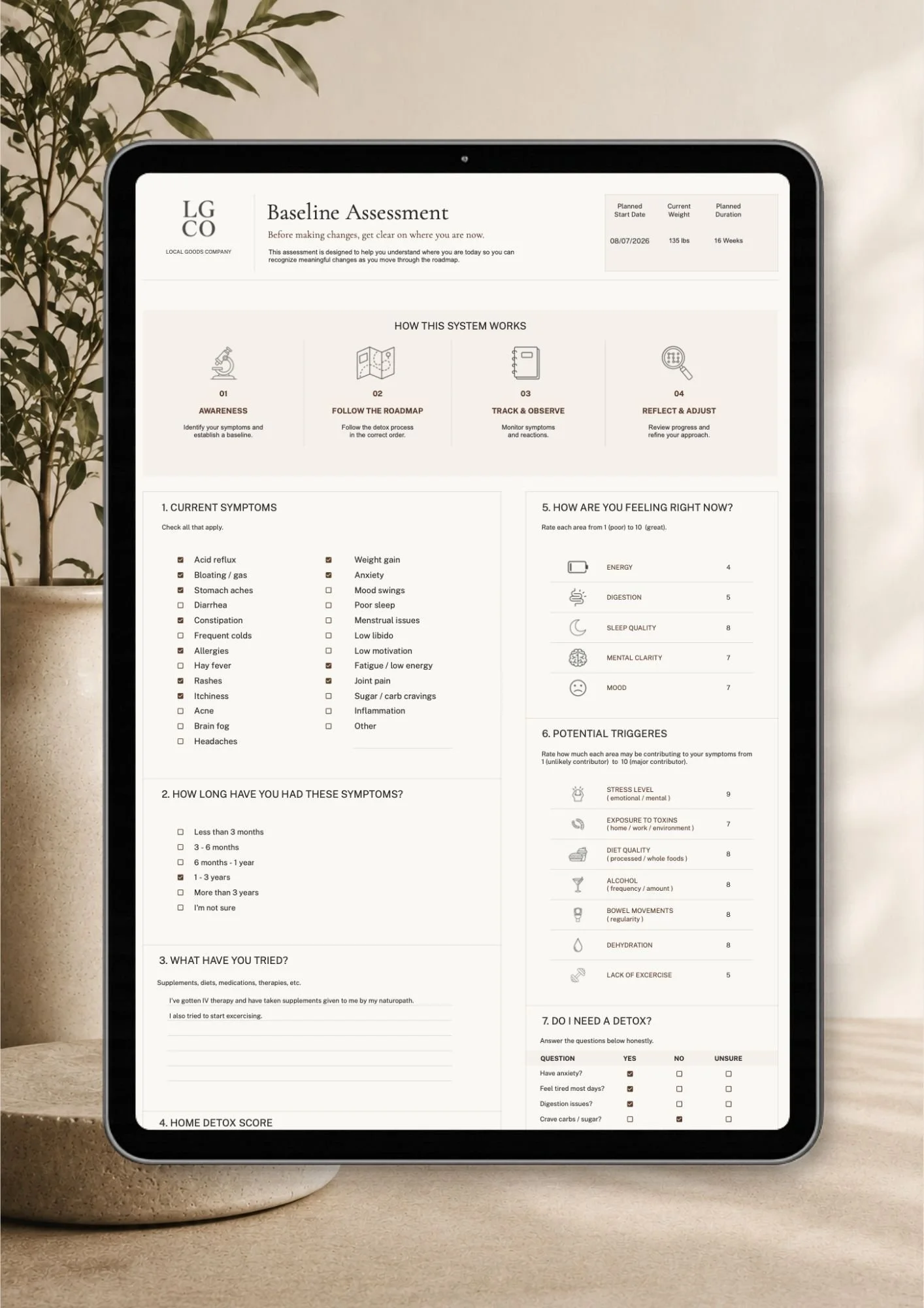 Detox Planner Baseline Assessment.jpg