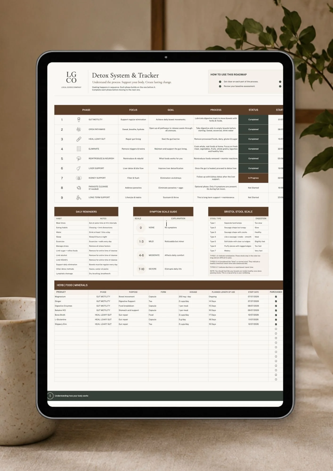Detox Planner