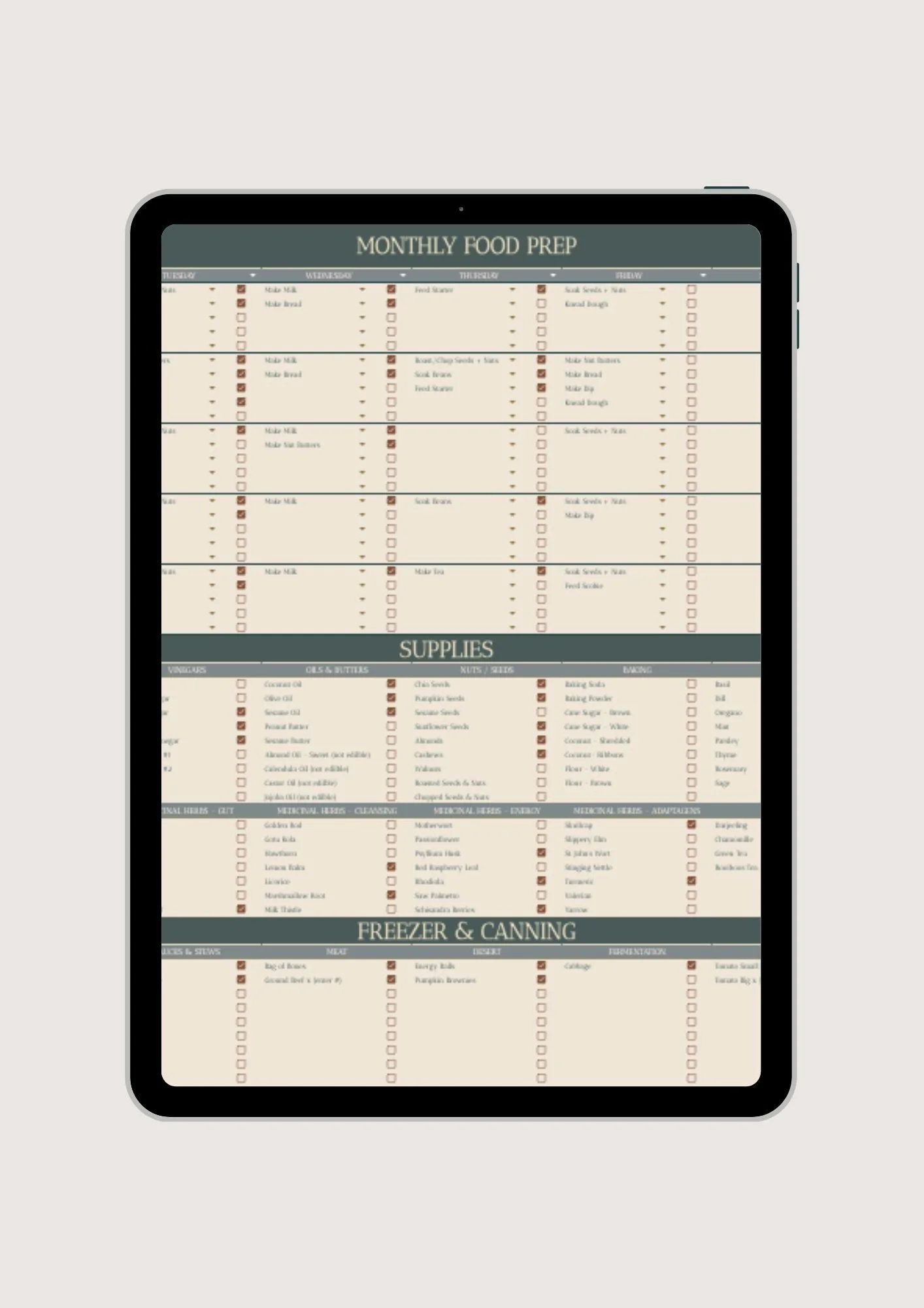 iPad showing the meal planning template
