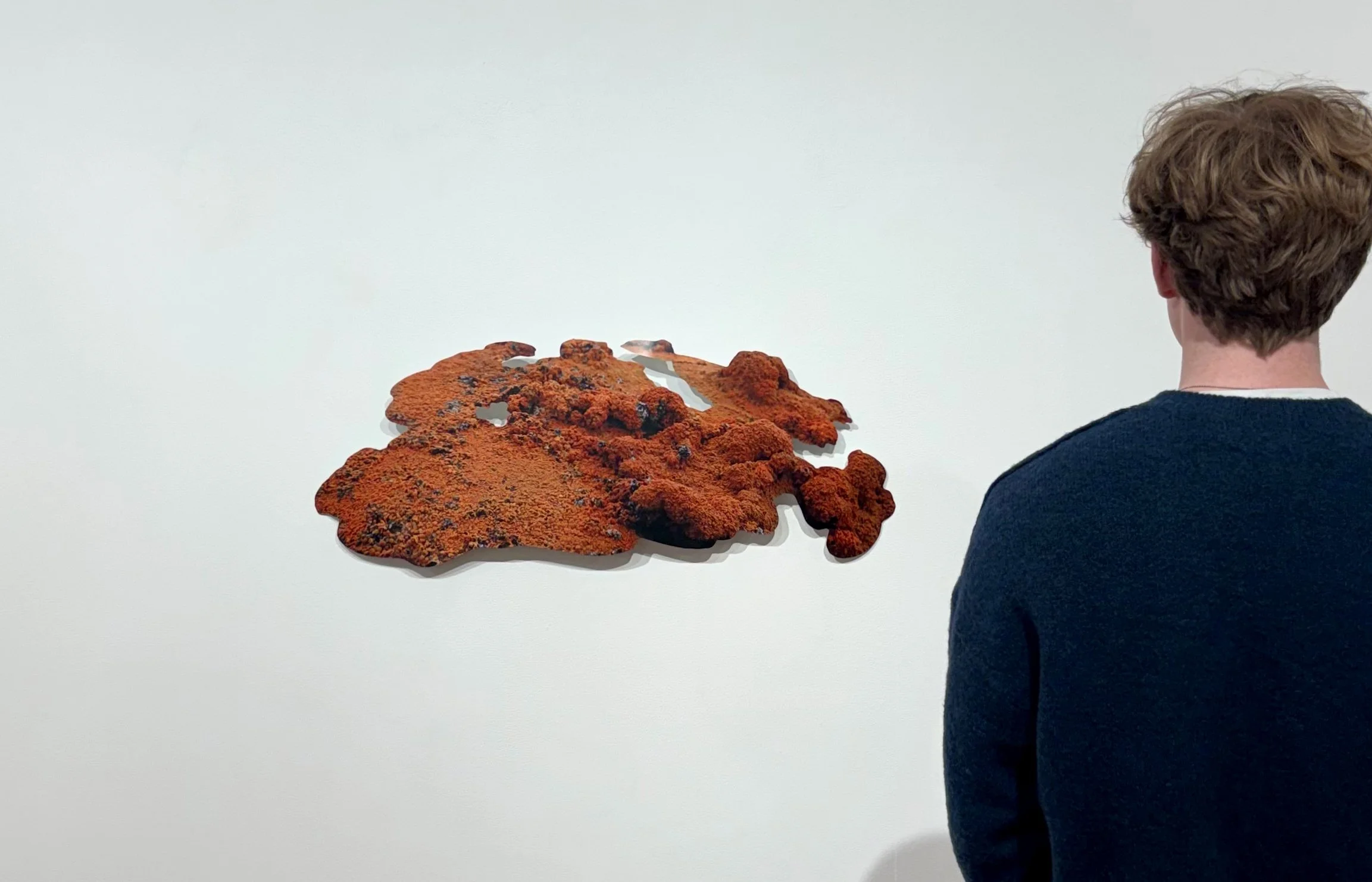 Review: Lessons of Lichen: Fei Disbrow’s photo-sculptures