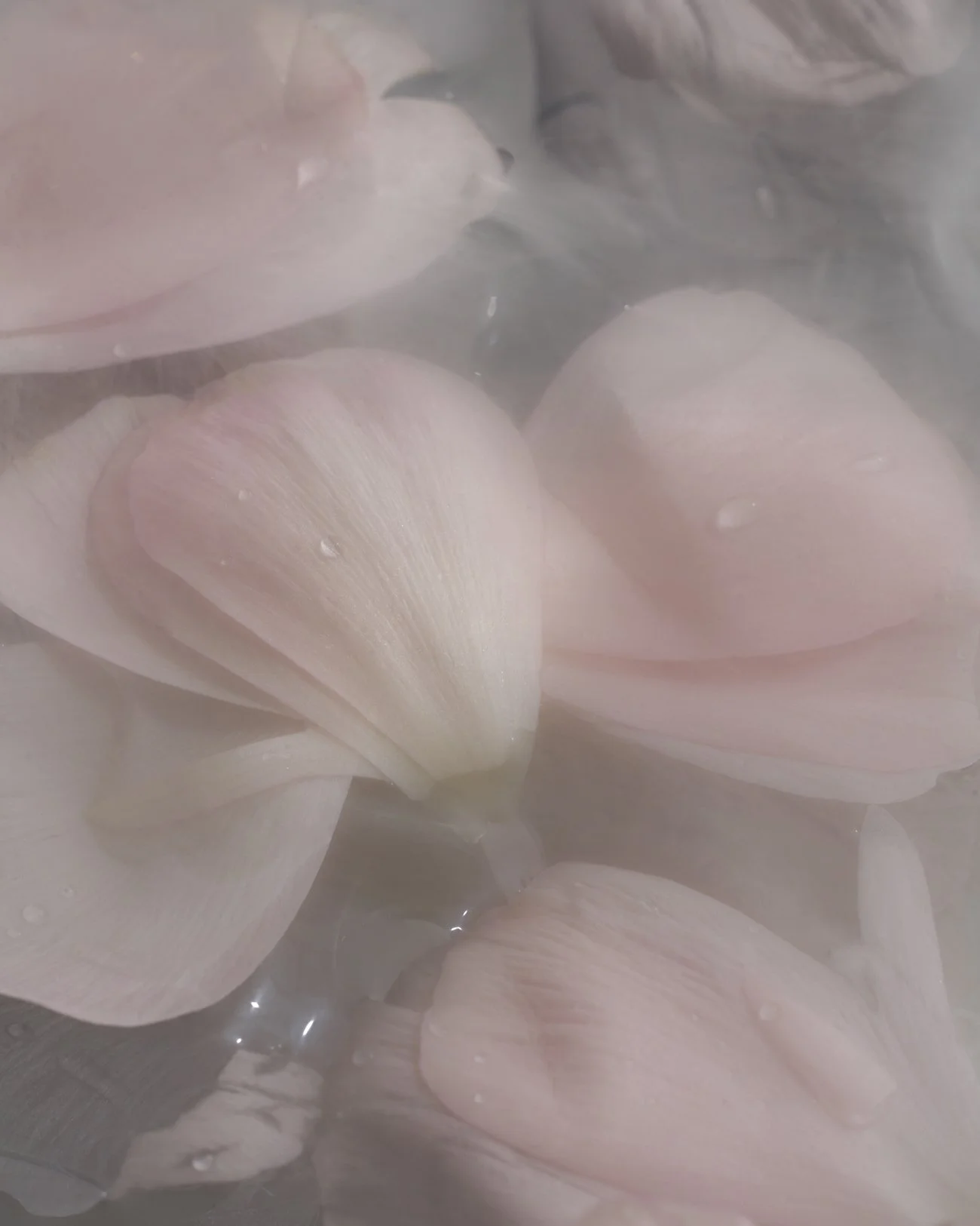 THE ROSALIE FLOWER PROJECT-36.jpg