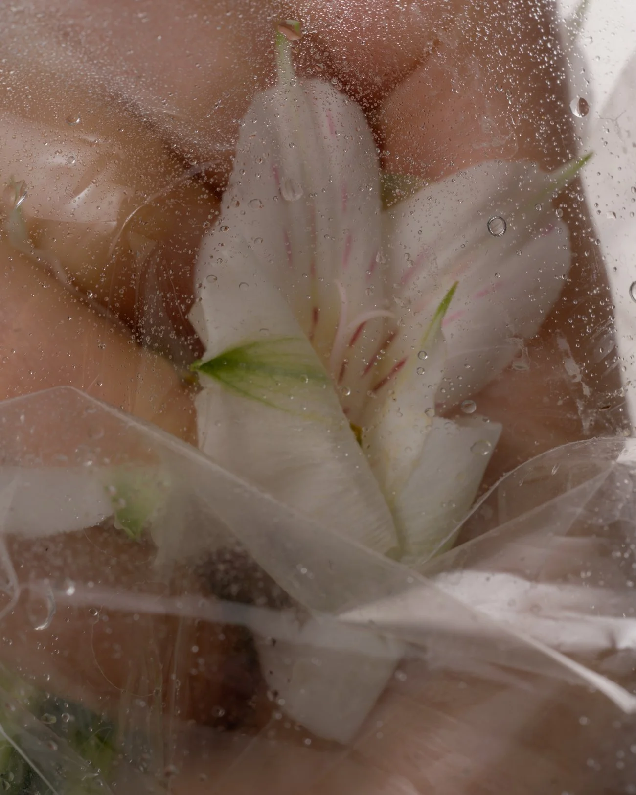 THE ROSALIE FLOWER PROJECT-27.jpg