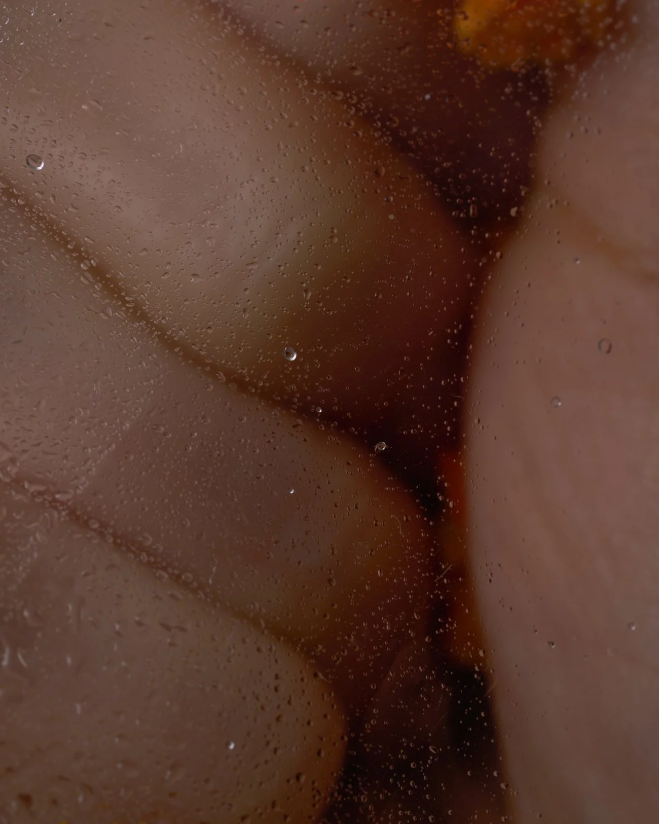 THE ROSALIE FLOWER PROJECT-26.jpg