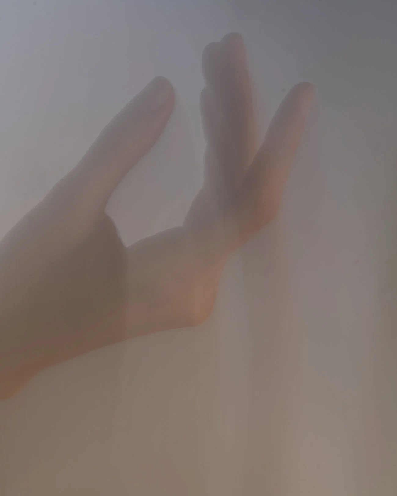 THE ROSALIE FLOWER PROJECT-29.jpg