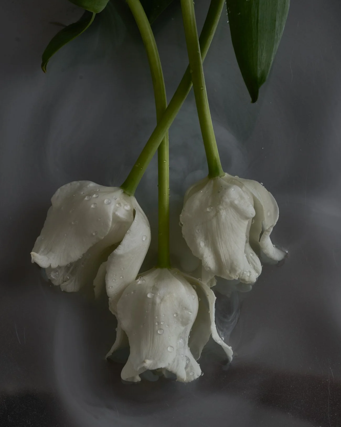 THE ROSALIE FLOWER PROJECT-4.jpg