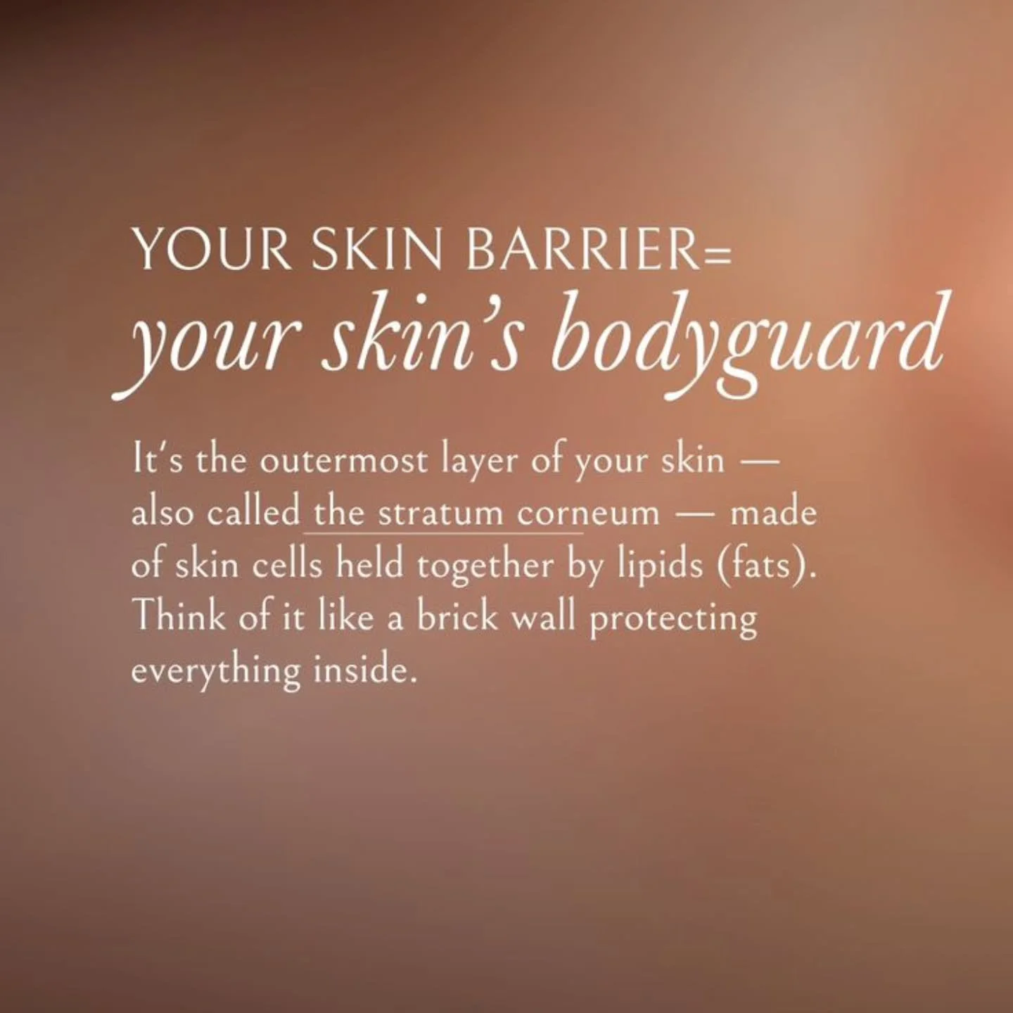 Unlike harsh peels, BioRePeel works with your skin &mdash; not against it.

Its biphasic formula protects the skin barrier while renewing the surface 

🟡 Oil phase = nourishes + prevents water loss
🔵 Active phase = exfoliates + brightens gently

Re