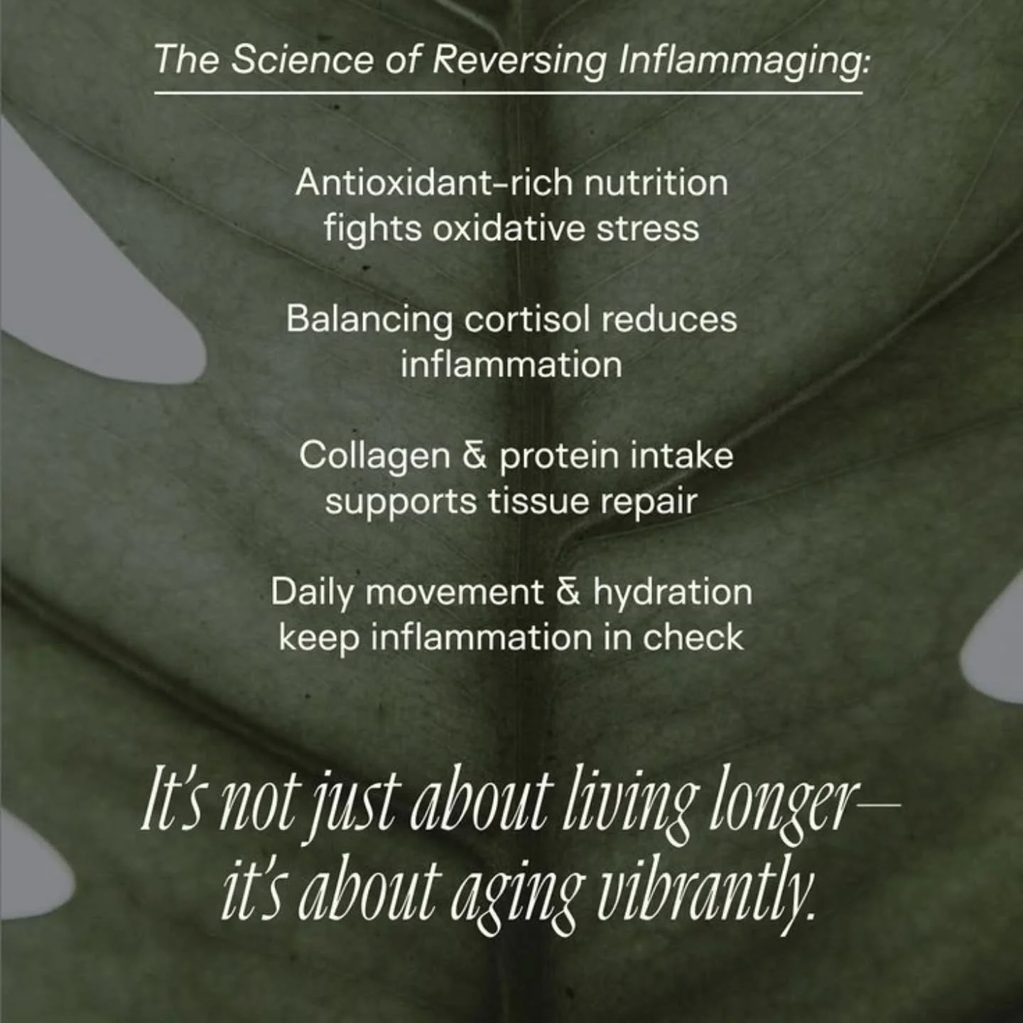 Inflammaging = inflammation acting as a catalyst for ageing.

When inflammation is constantly &ldquo;on&rdquo; (even at low levels), it:

👎breaks down collagen
👎disrupts skin barrier function
👎increases oxidative stress (free radicals) slows cellu