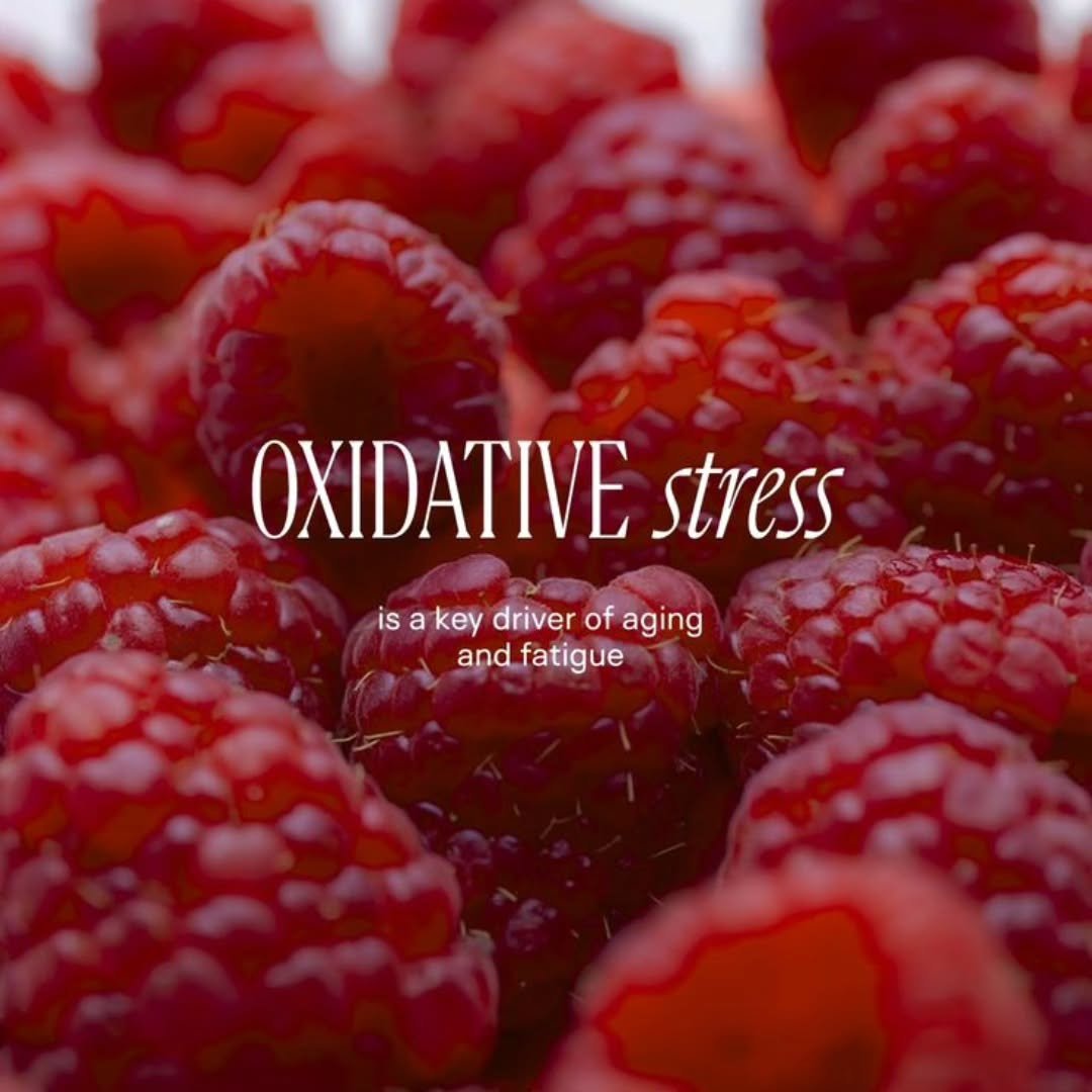 The antidote? 

Antioxidants to balance free radicals and neutralise damage.

Find them nutritionally in

CLOVES- highest antioxidant foods ever tested due to insane polyphenol content. tiny pinch in coffee, cacao, oats, stewed apple, herbal tea.

RA
