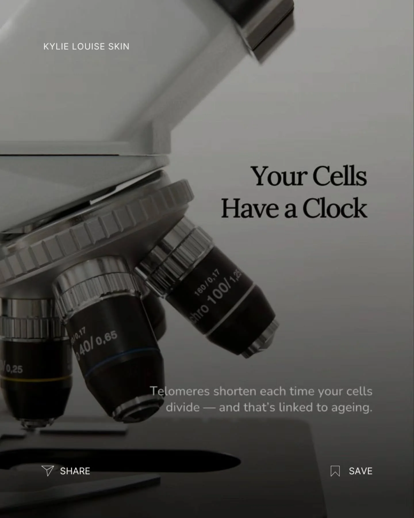 WHY do we age? 

WHY WHY WHY? 

Ageing isn&rsquo;t caused by one single thing.

It&rsquo;s more like many small biological systems gradually becoming less efficient simultaneously.

The interesting part is that modern longevity science now focuses le