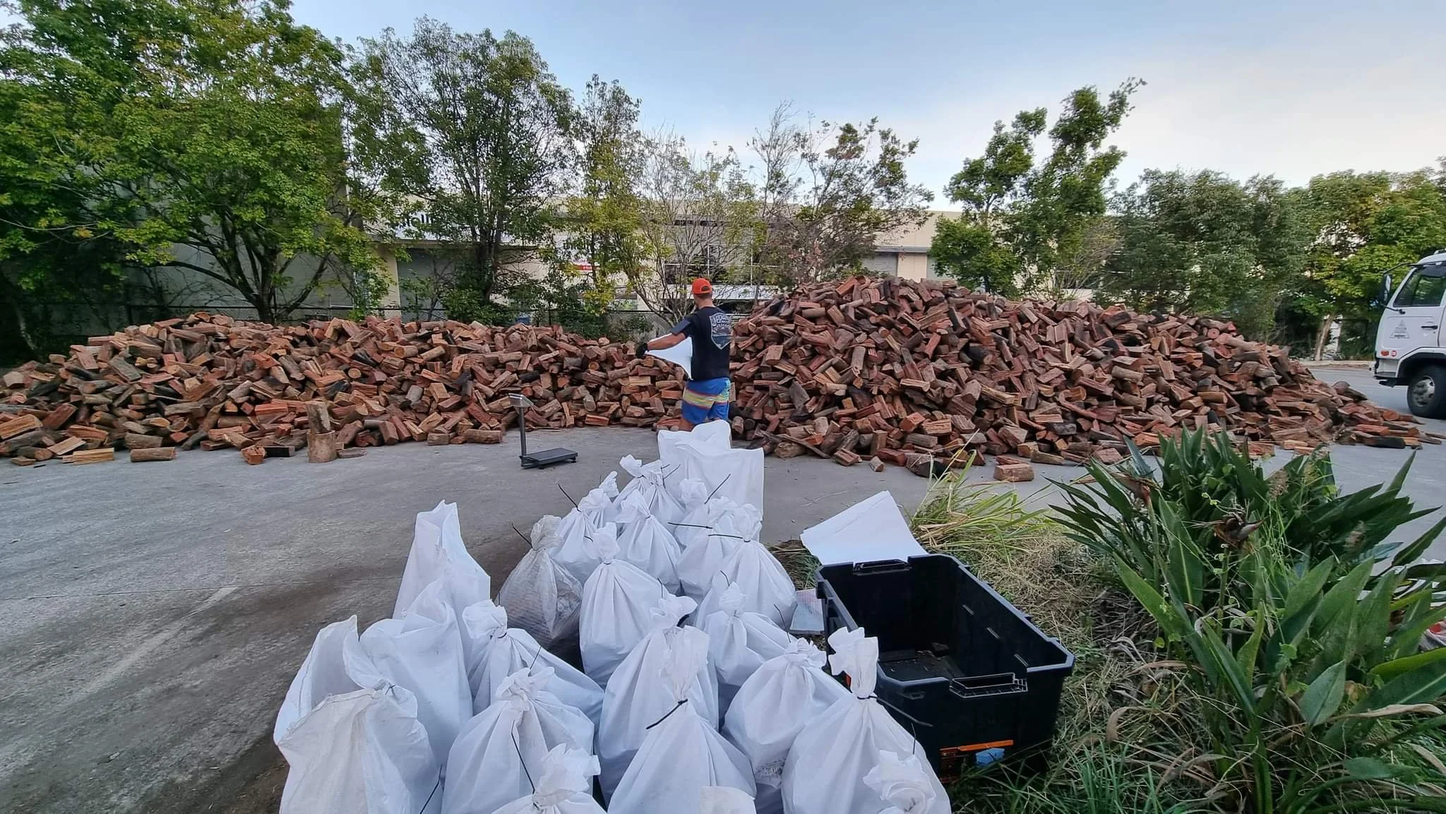 Premium Firewood loose load Pick up and Delivered — Gold Coast's