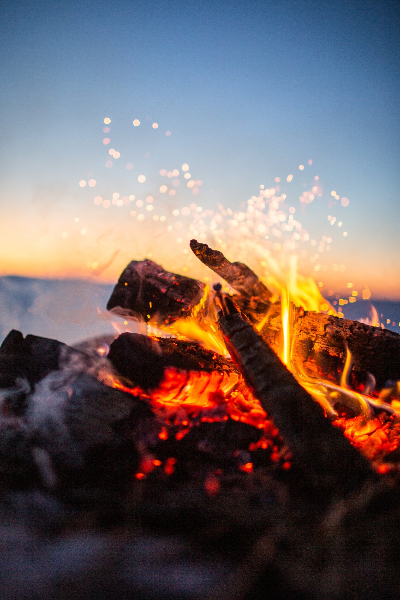 Gold Coast's Biggest Firewood Supplier