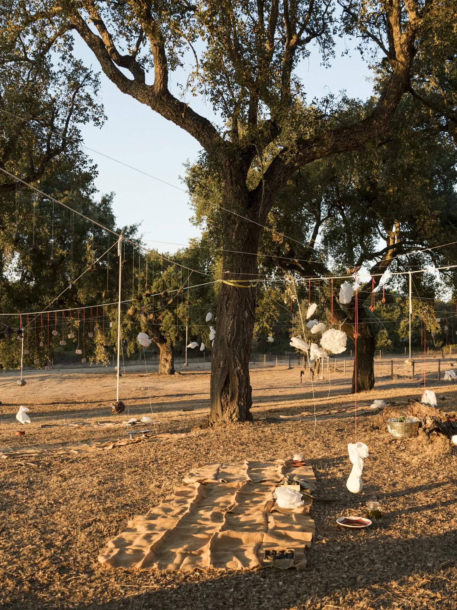 2026, Ponto de Orvalho, credit Renato Chorao-129.jpg