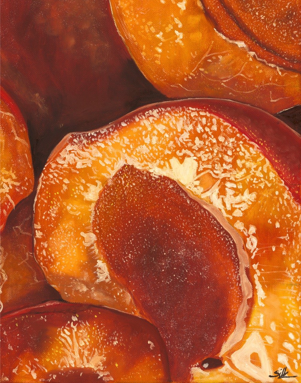 PRINTS- Apricot 16x20 Large.jpeg