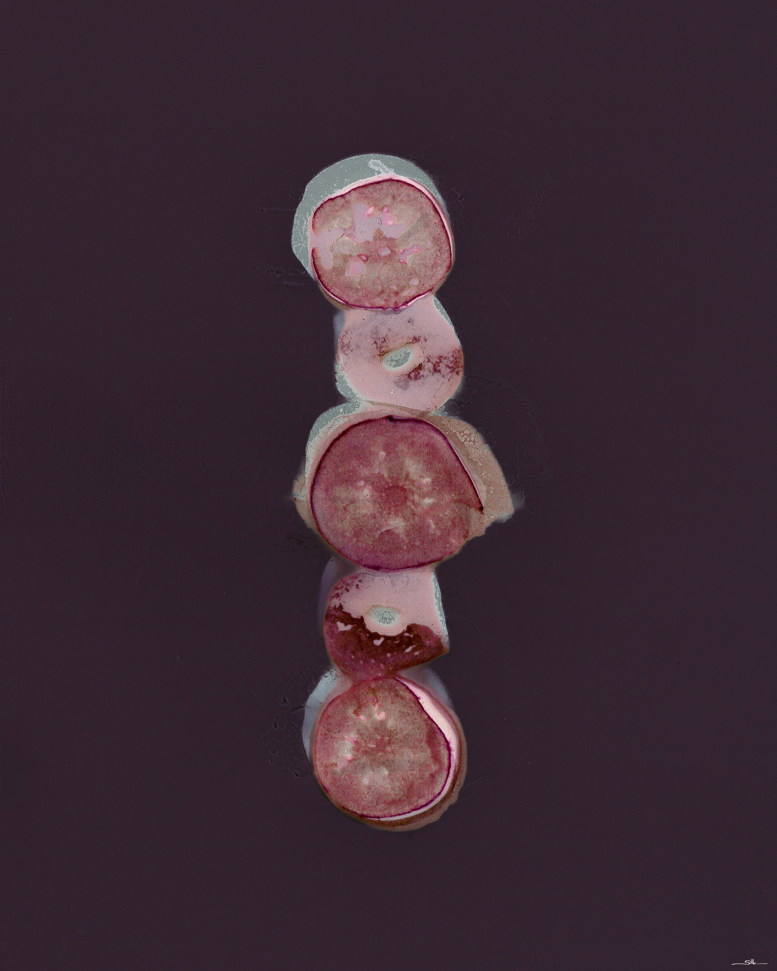 Lumen Blueberries.png