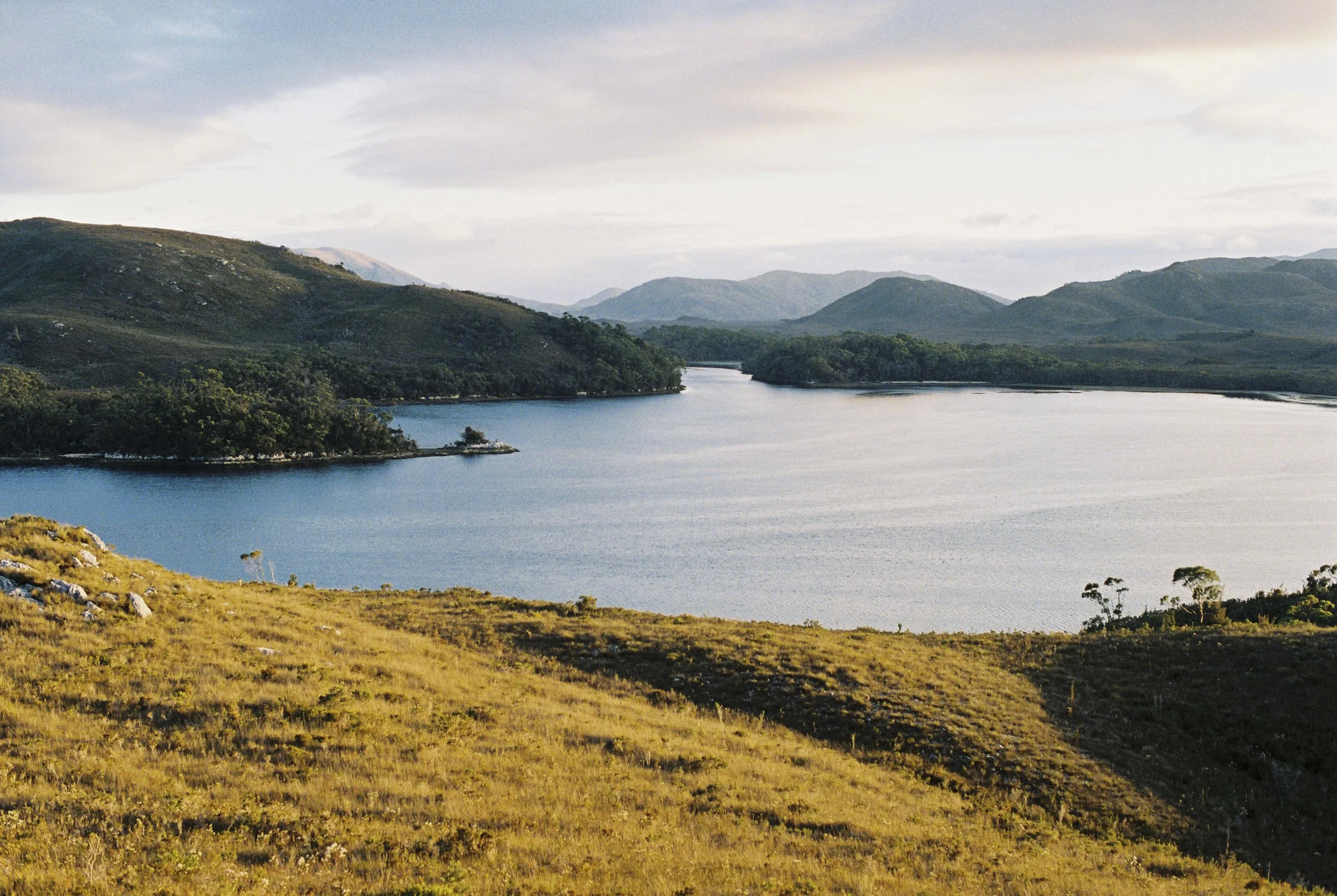 Summer Newsletter 2026 