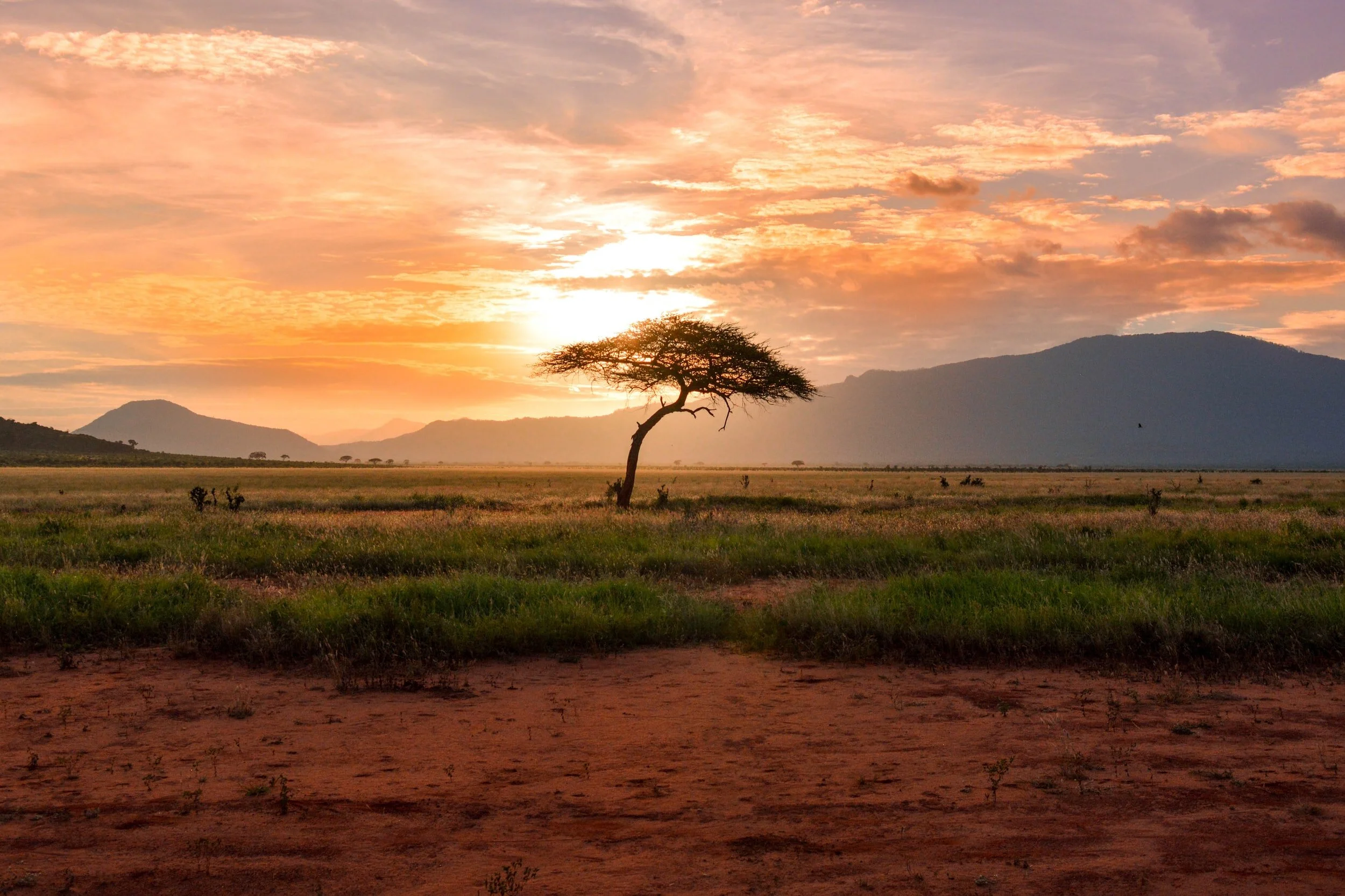 Africa Suppliers