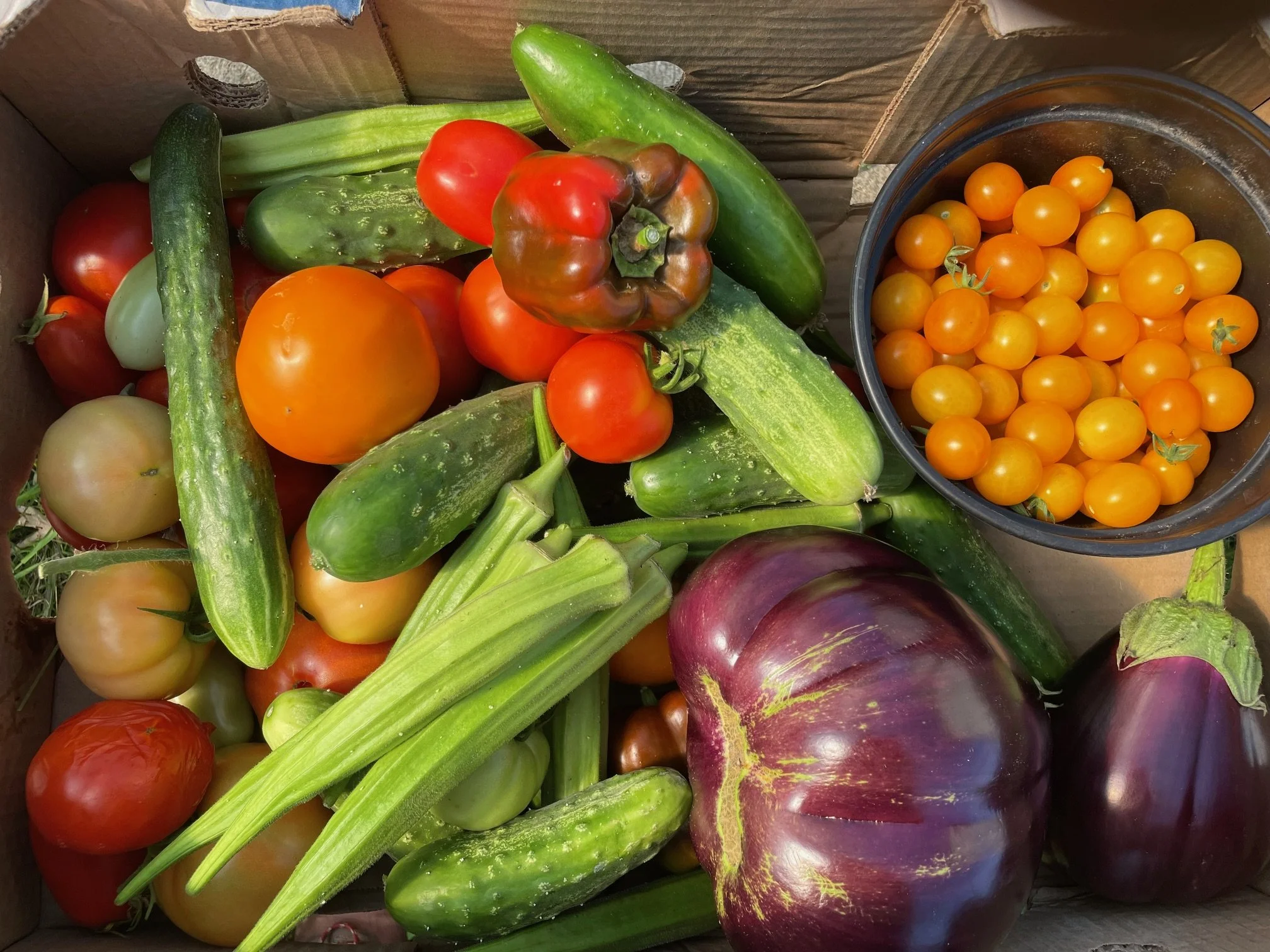 Assorted fresh vegetables including cucumbers, tomatoes, eggplants, yellow cherry tomatoes, and green peppers in a wooden container.