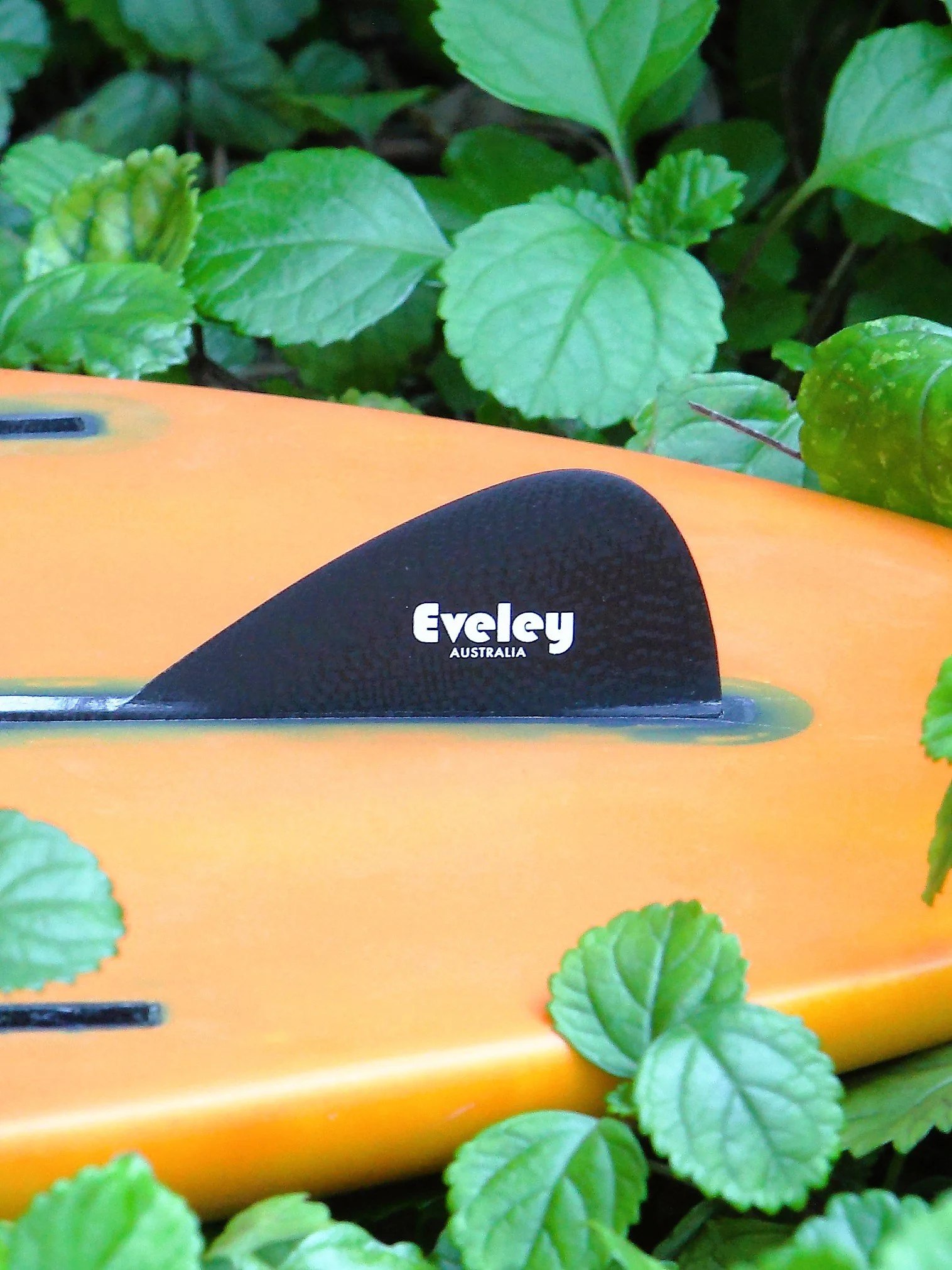 1.5 inch black stabilizer fin installed in a futures center fin box