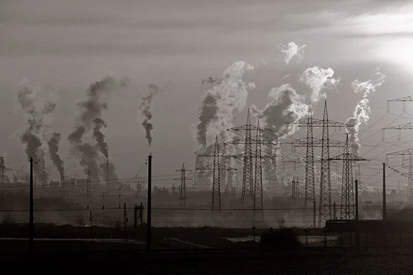 BCG Highlights Why Climate Change Action Needs a Gender Focus