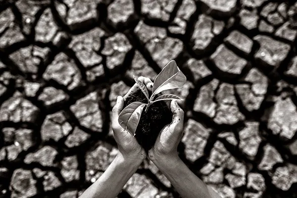 Bain Outlines Action Plan for CEOs to Tackle Climate Change