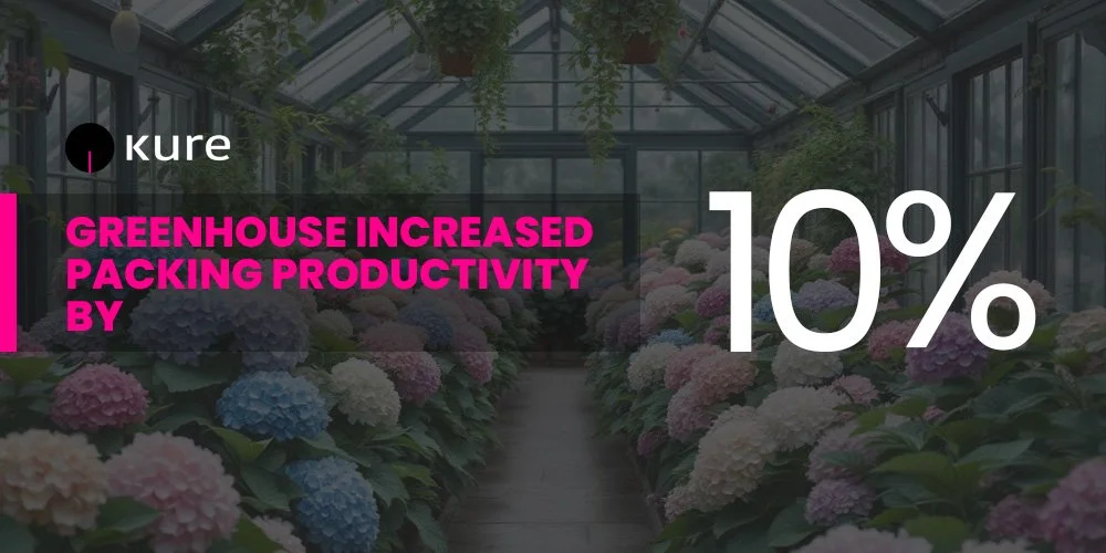 Greenhouse Increases Packing Productivity By 10% With Kure