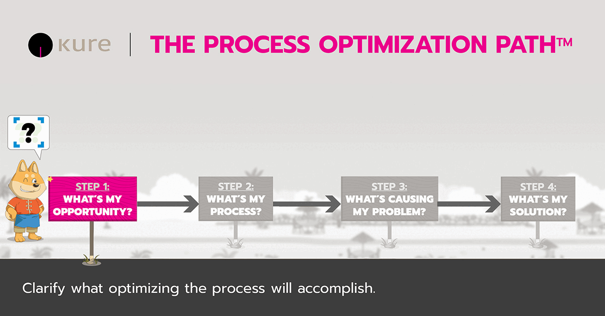 The 4 Steps of the Process Optimization Path™